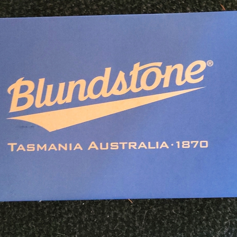Sz 11 Men's Blundstone Brand New